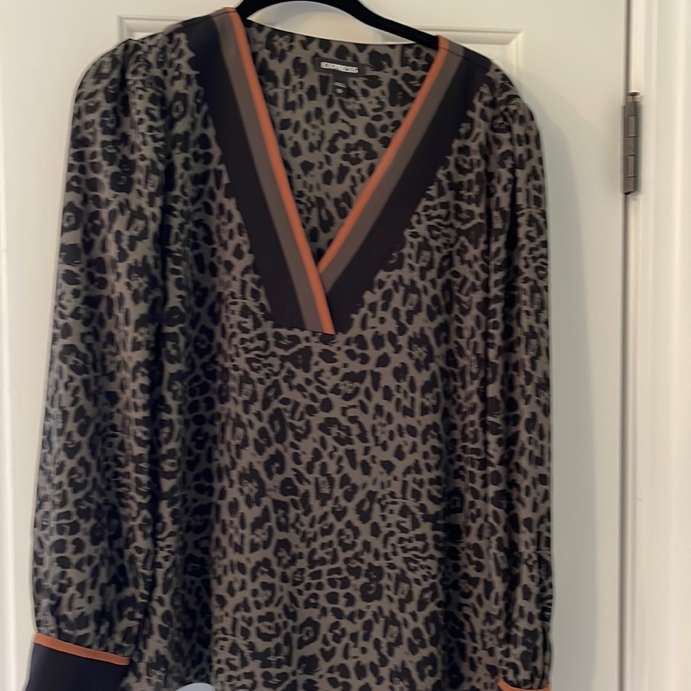 Leopard print v-neck blouse